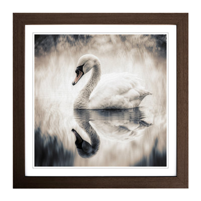 Swan Double Exposure No.1 - Framed Print