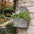 Vintage Metal Wall Planter for Outdoor/Indoor Plants,Faux Plants & Flowers,Wall Storage Basket for Letters Post Cards-888114248