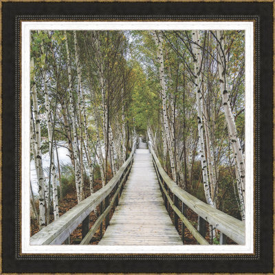 " The Path Home "