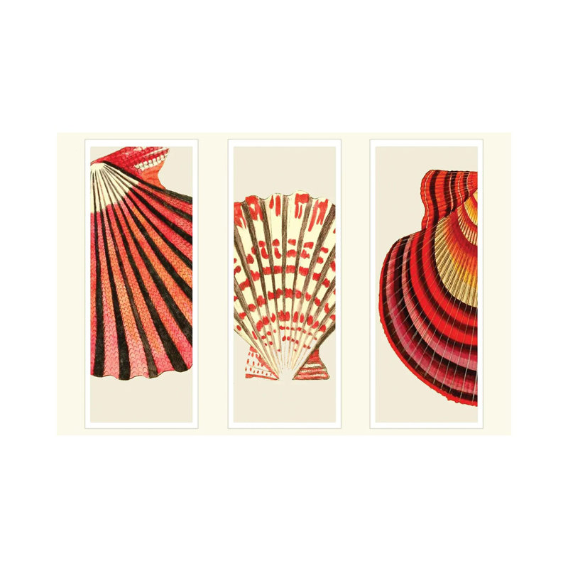 «Red and Cream Shells» par Fab Funky - impression sur toile tendue, H 18 po x l 26 po x P 1,5 po