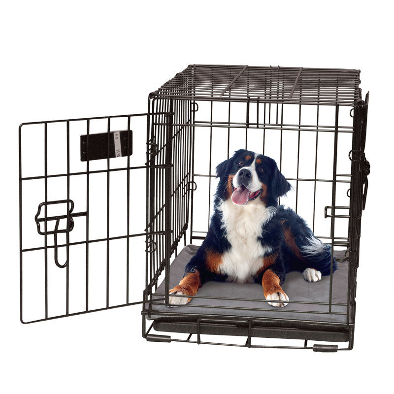 Tapis de caisse pour chien auto-chauffant, Très très grand (l 54 po x P 37 po x H 0,5 po), gris