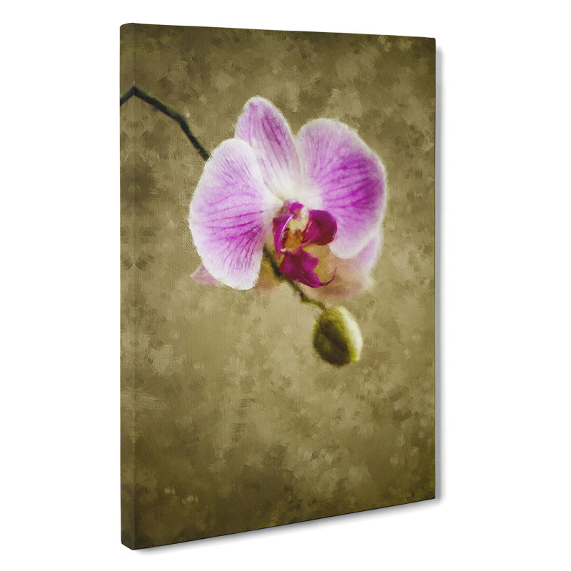 Orchid Flowers Vol.6 - Wrapped Canvas Painting, 76cm H x 50cm W x 3cm D
