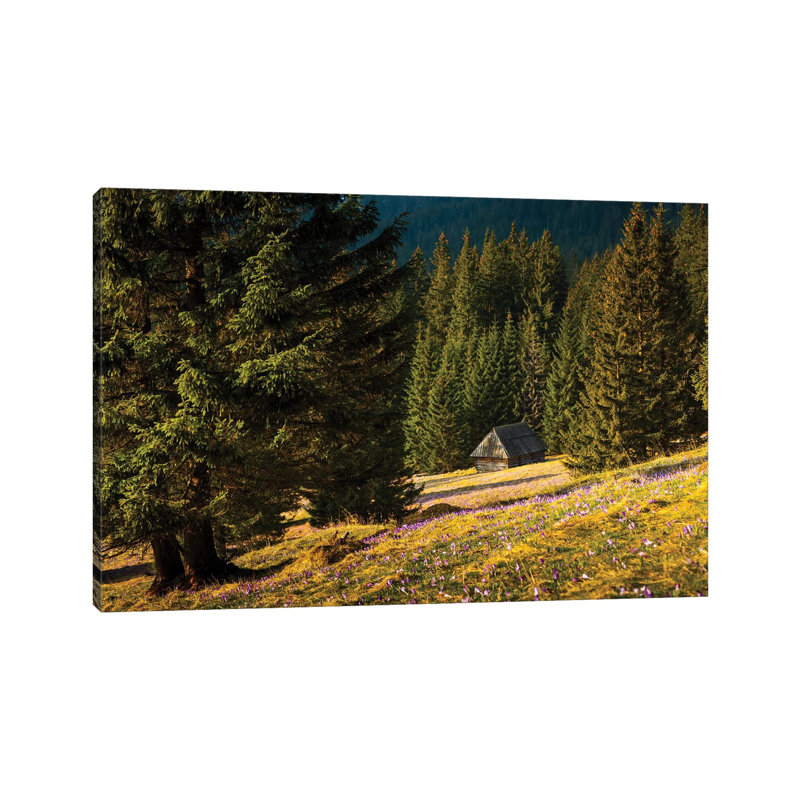 Poland Tatra Mountains Chocholowska Valley by Mikolaj Gospodarek - Wrapped Canvas Print, 20.32 cm H x 30.48 cm W
