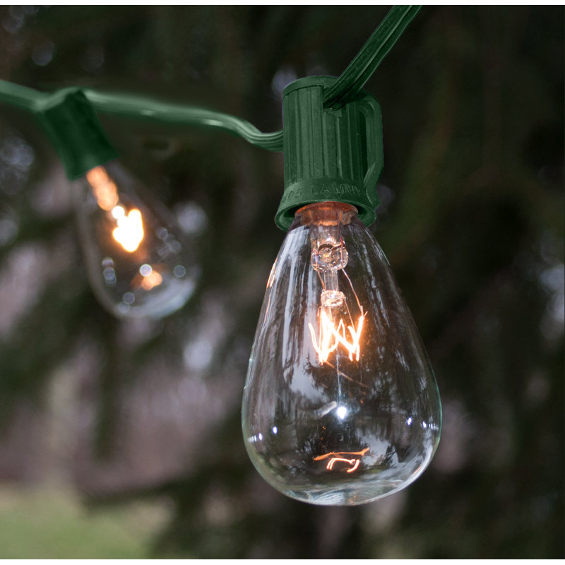 Edison String Lights Outdoor 25 - Bulb 25'' Plug-in String Light, Green