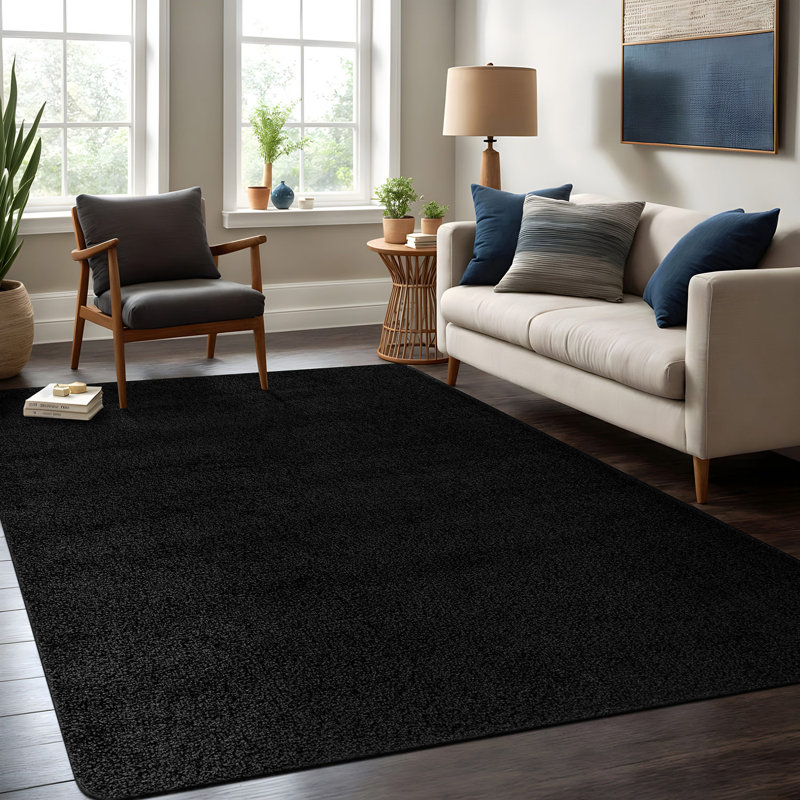 Tapis d'intérieur lavable, Black, Rectangle 3' x 5'