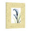 "Calla Lily", toile tendue par Albert Koetsier-1985659098