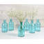 Bouteilles décoratives bud apothicaire Bohanan-2117709479