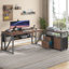 Bureau de direction et classeur latéral 2 pièces Lympsham-1713406911-1700457987