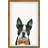 'Dapper Dog' Framed Print-993536095