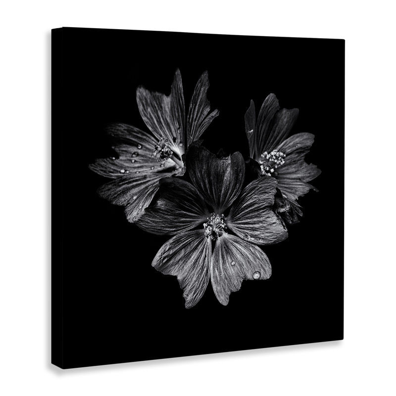 "Blossom Trio" sur toile noire par Brian Carson bp-769_CN, H 36 po x l 36 po