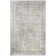 Lilwenn Oriental Indoor Rug