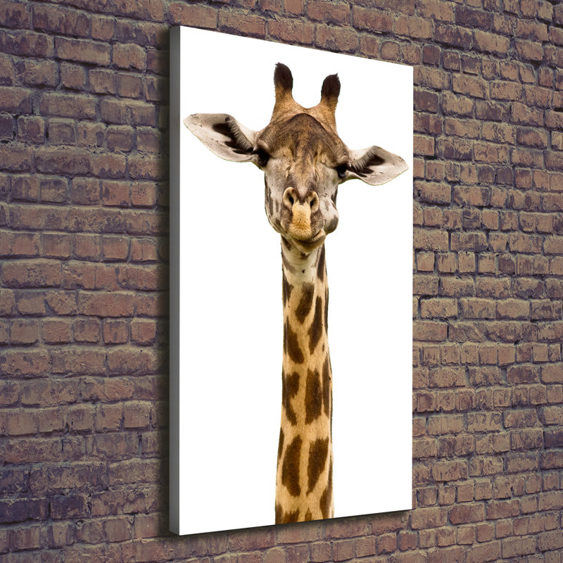 Giraffe - Wrapped Canvas Print
