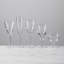 Cavendish Champagne Flute