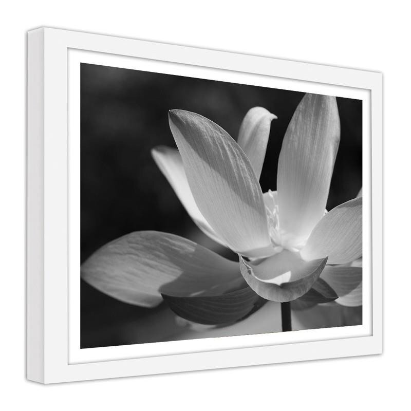 Gerahmter Fotodruck White Lilies