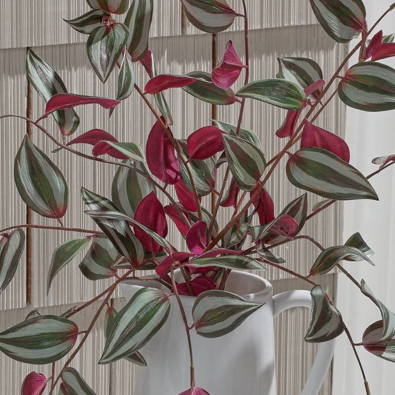 Buisson 19 "UV Tradescantia
