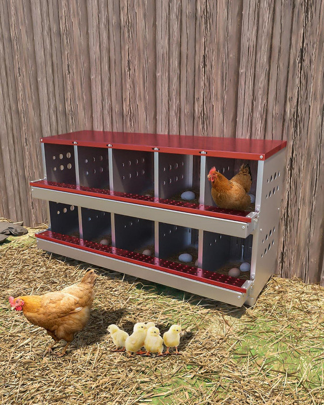 Boîte de nidification de poulet en métal galvanisé à 2 compartiments et 10 compartiments avec plateau de collecte des œufs, faux œufs de formation et perchoir, boîte de volaille antirouille pour poules (rouge, 10 compartiments sans pattes)