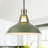 Gollenberg Modern 1-Light Matte Dimmable Pendant Light-2074106965