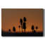 Silhouette coucher de soleil sur toile tendue-1751968760