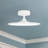 Daveney LED Semi Flush Mount-1353363942