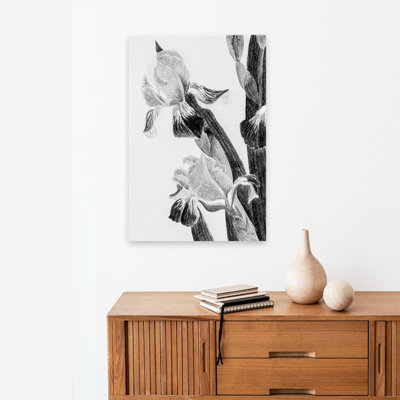 Minimalist Illustrated Iris II