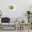 Plante grasse aloès-69571530-69571524