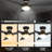 Ekam 52'' Ceiling Fan with LED Lights
