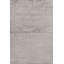 Area Rug in Beige