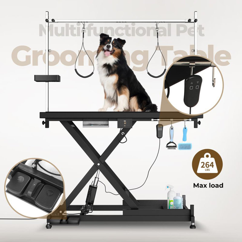 Pet Grooming Table (Black), Black