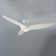Morpheus III 60" 3 - Blade Outdoor/Indoor Smart Standard Ceiling Fan with Wall Control and LED Light Kit Included, Works With Alexa and iOS or Android App