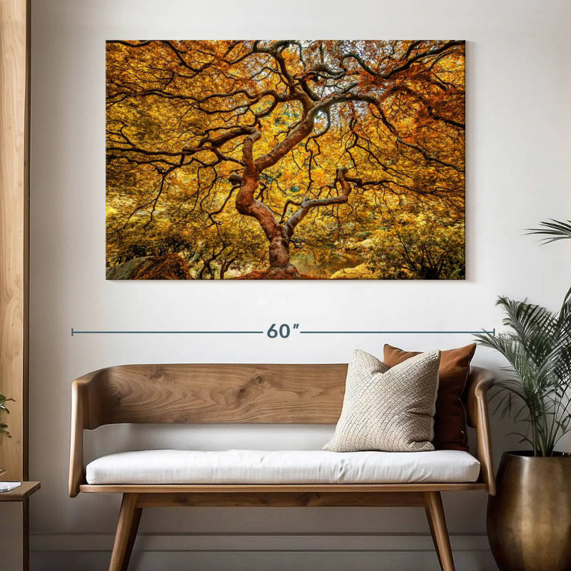 Harnek Yellow Japanese Maple Tree, 34" H x 51" W