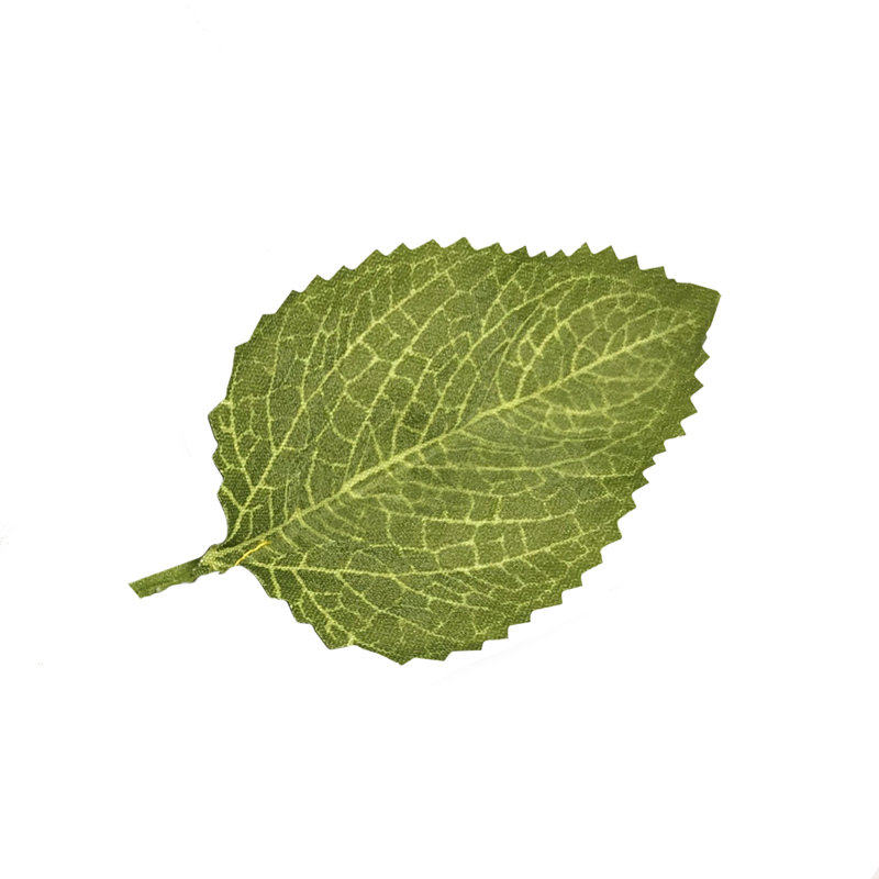 Tige de tournesol, Jaune / Vert / Brun