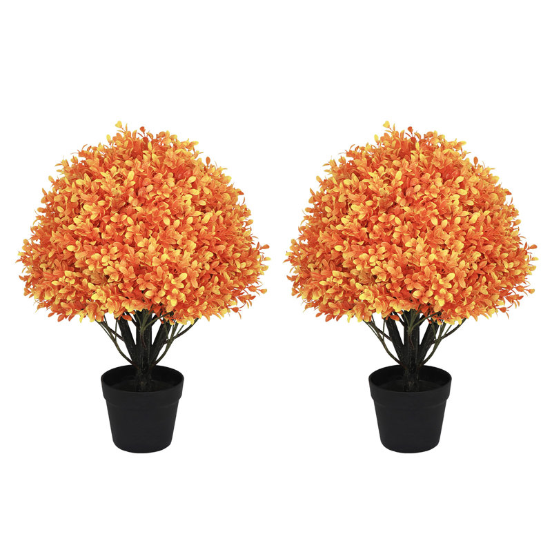 Arbre en pot 24 po, Orange