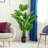 60'' Faux Monstera Deliciosa Tree in Cement Pot