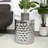 Dajanee Stainless Steel Top End Table