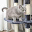 158cm H Cat Tree-5599186