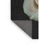 Tapis blanc avec fleurs et fond 44-351119262