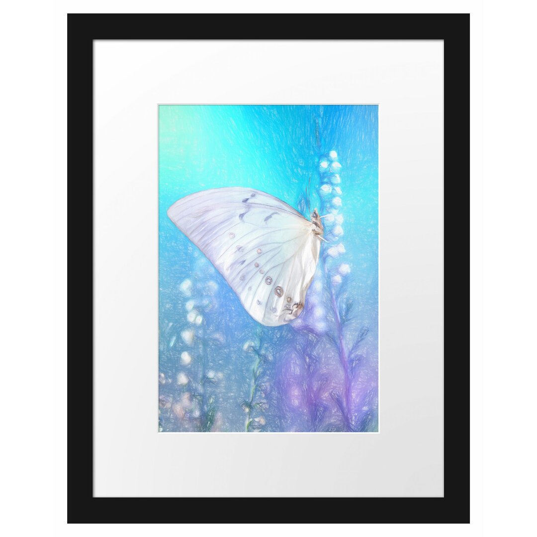 Gerahmtes Poster Schmetterling auf Blütenknospen