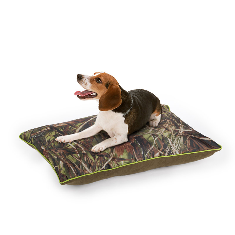 Coussin pour chien avec housse amovible, H 5,1 po x l 23,6 po x P 15,7 po