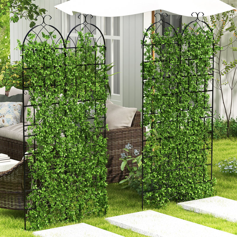 Metal Arched Trellis, 220cm H x 50cm W