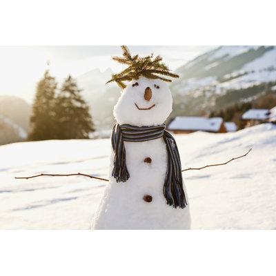 Snowman in Snowy Field 1 Piece Wrapped Canvas Wall Art