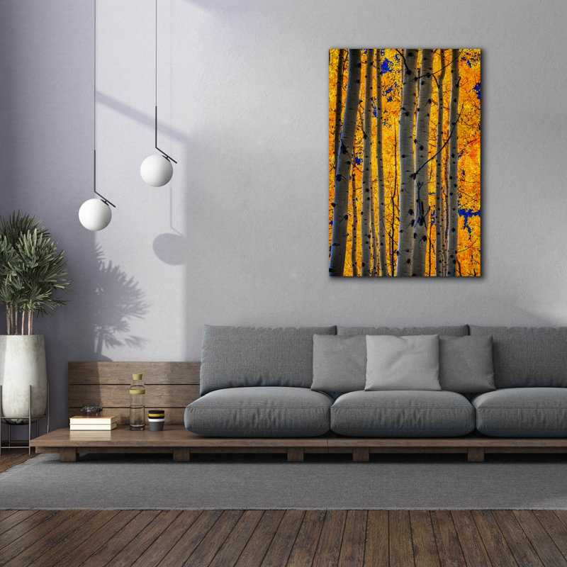 Toile épique Graffiti «Aspenglow Iv» par Rick Berk, 40 po x 60 po