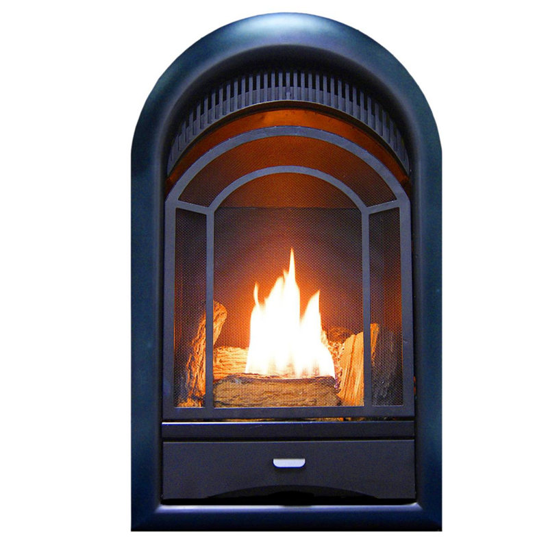 ProCom Dual Fuel Ventless Gas Fireplace Insert - Arched Door, 15,000 BTU, T-Stat Control - Model# PCS150T