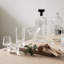Street Crystal Whiskey Glass