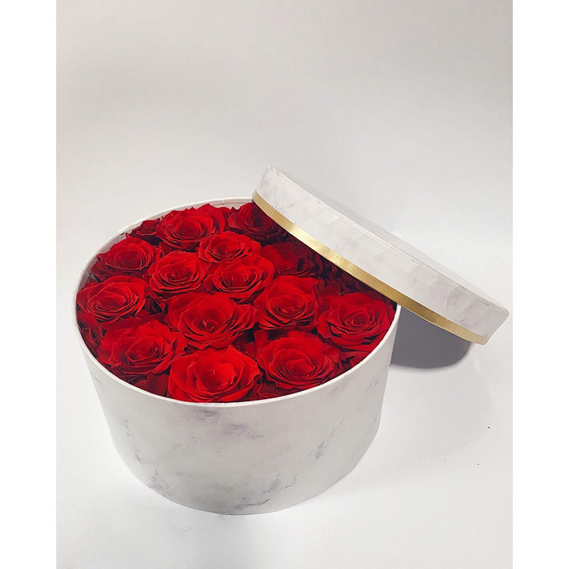 Preserved Natural Rose Rose Arrangement in Pot, Red