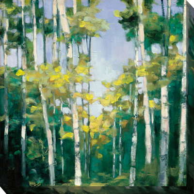 Art mural sur toile Creek