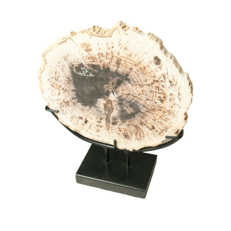 Petrified Wood Chopping Board Décor