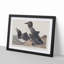 Foolish Guillemots by John Audubon - Picture Frame Painting Print-55620909-55620911