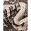 Tapis Almarosa Hermitage-727664111