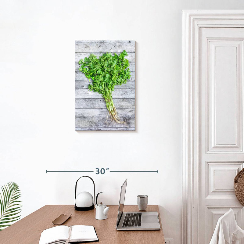 Harnek Cilantro, 24" H x 16" W