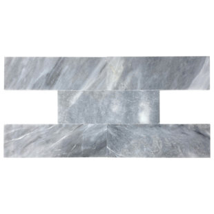 Carreau gris foncé poli 3 x 9